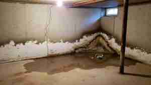 Signs Your Basement Needs Waterproofing